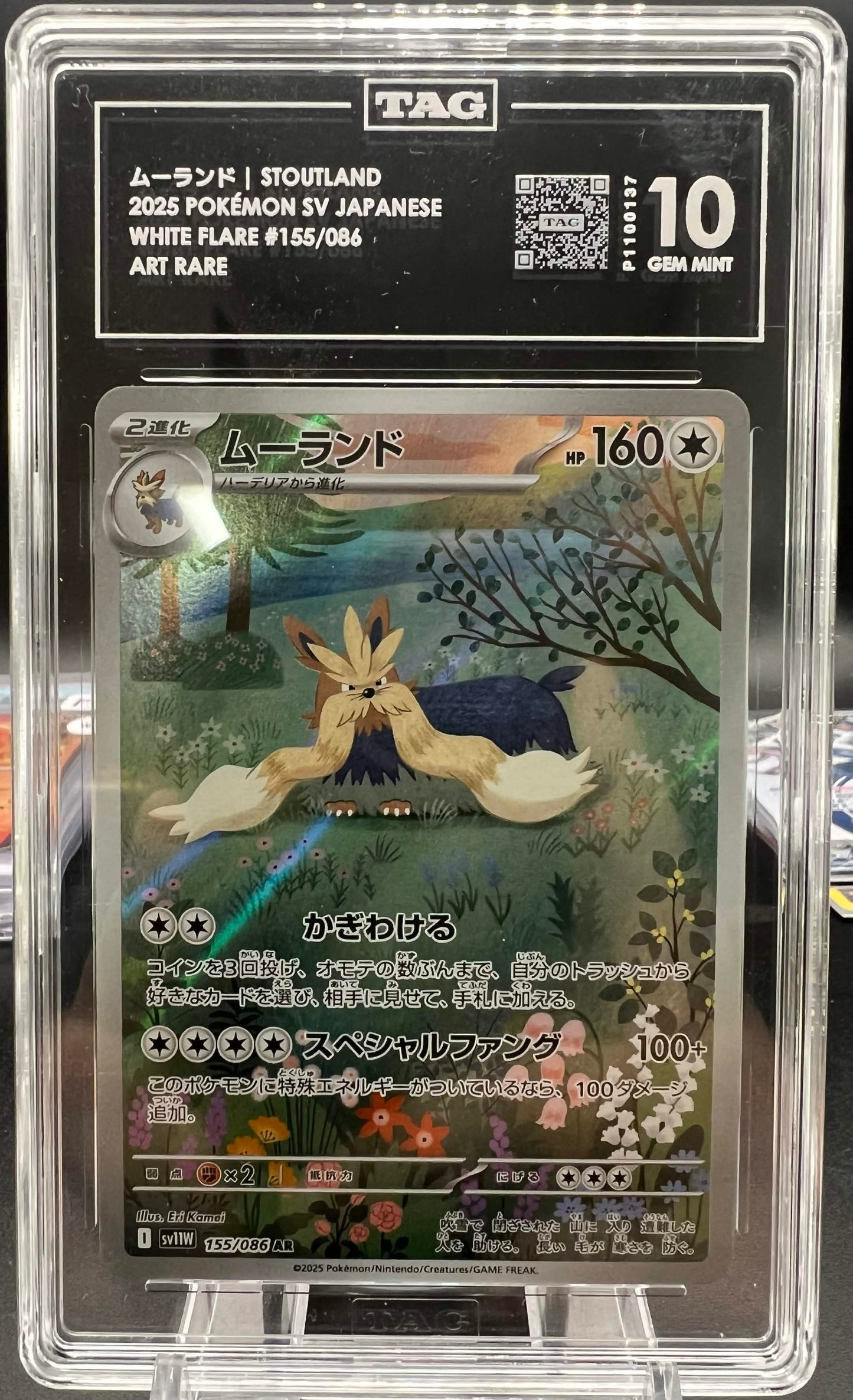 Pokemon JP 2025 Stoutland - White Flare - AR - TAG 10