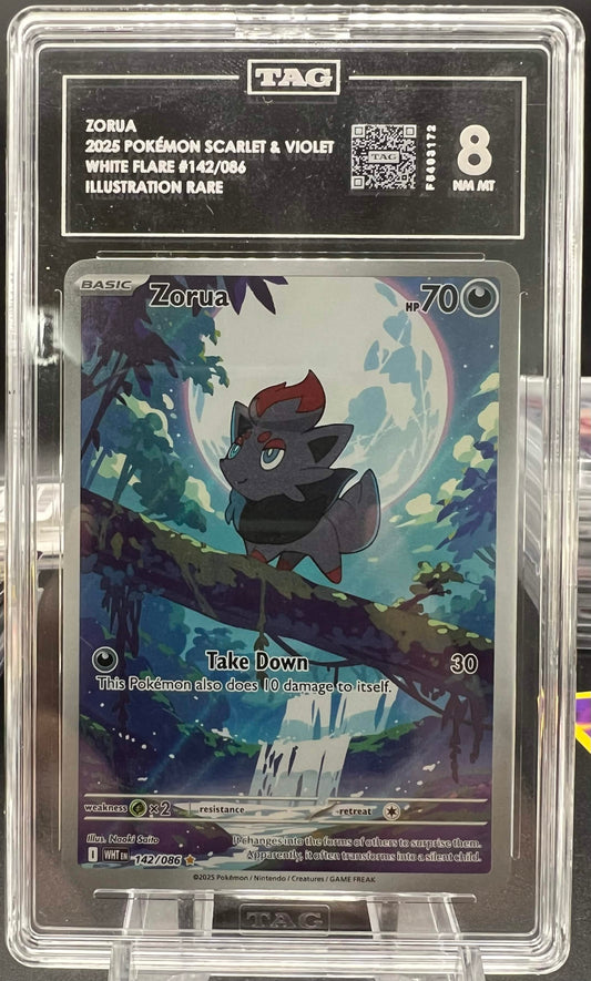 Pokemon 2025 Zorua 142/086 White Flare Illustration Rare TAG 8