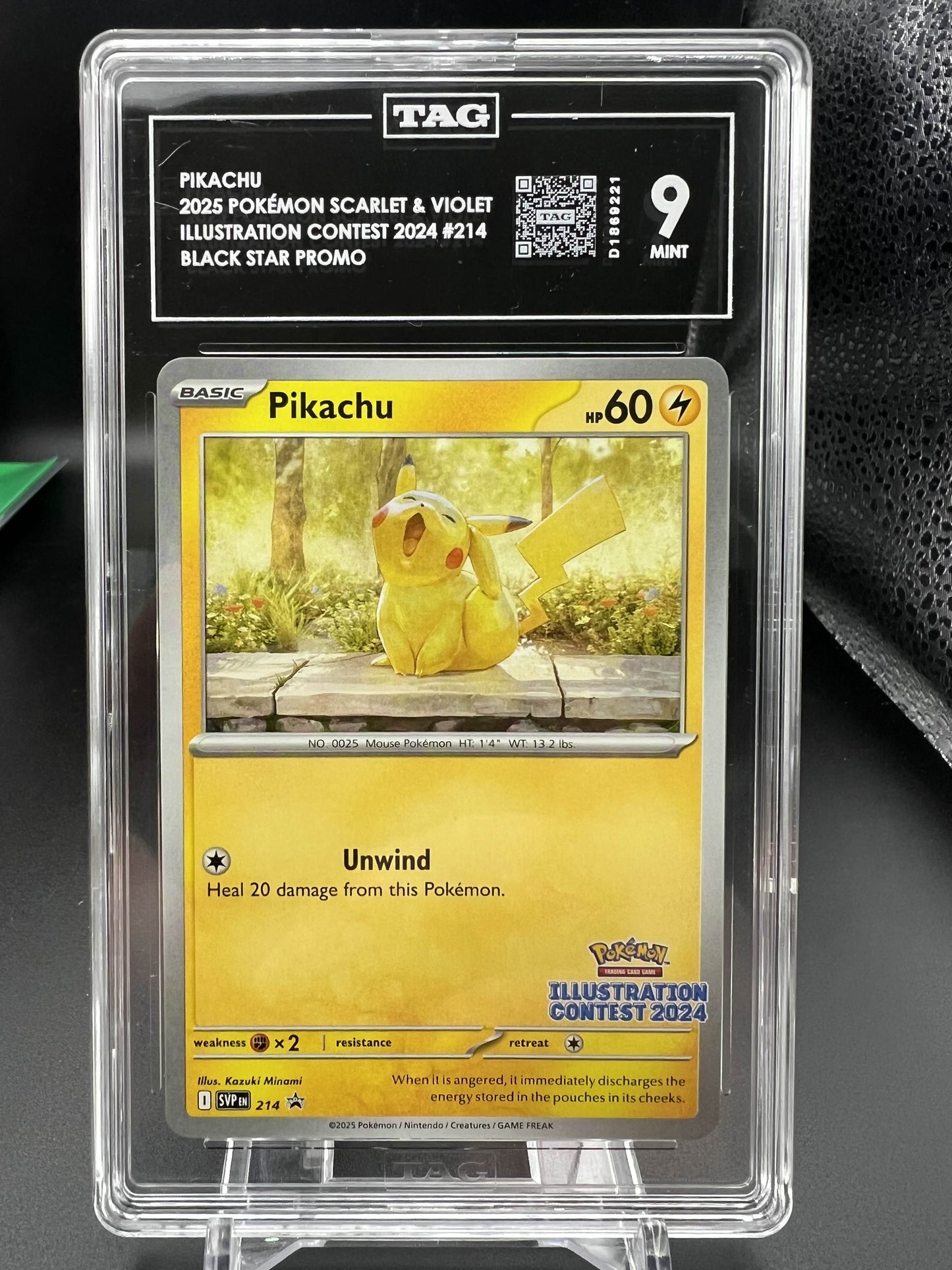 Pokemon 2025 Pikachu - S&V Illustration Contest 2024 - Black Star Promo - TAG 9