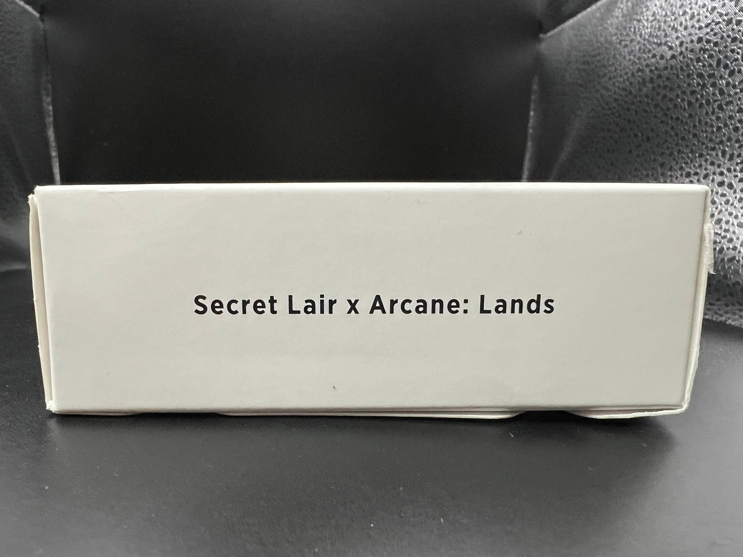 Secret Lair Drop: Secret Lair x Arcane: Lands - Non-Foil Edition