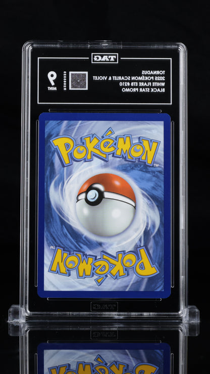 Pokemon 2025 Tornadus - White Flare ETB - Promo - TAG 9